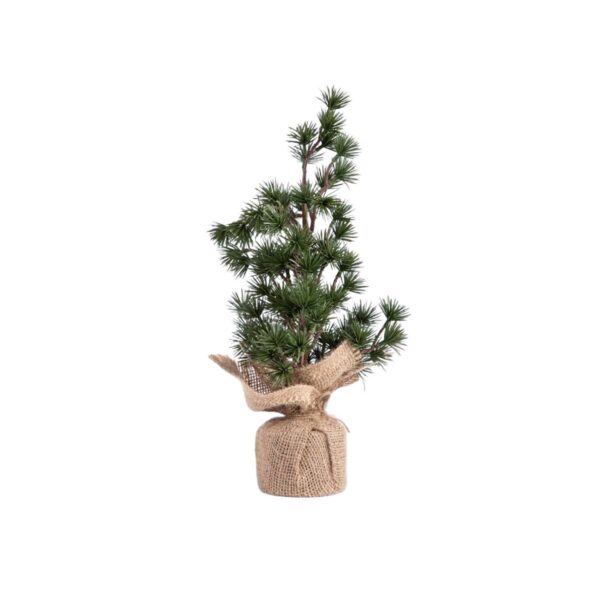 c5d12fc7408d52d6882aae767cd7b38c c5d12fc7408d52d6882aae767cd7b38c