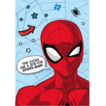 koc-flanelowy-100x150-spiderman-niebieski-coral