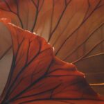 posciel-satyna-bawelniana-12407-180x200-satynlove